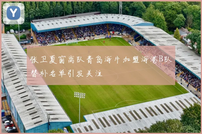 张卫夏窗离队青岛海牛加盟海港B队替补名单引发关注