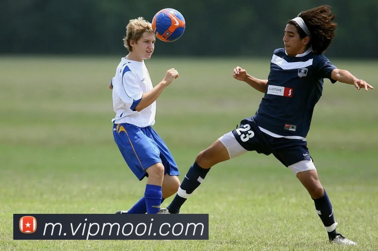 奖项证书